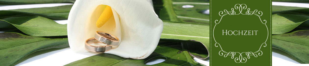 Hochzeit - Trauringe in einer weißen Calla-Blüte